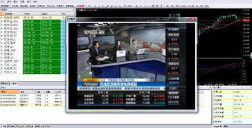 现货交易软件首选GTS软件，公司主推产品优惠多多，欲购从速